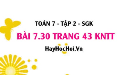 Bài 7.30 trang 43 Toán 7 Tập 2 Kết nối tri thức